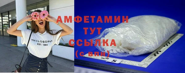 гидра Верхний Тагил