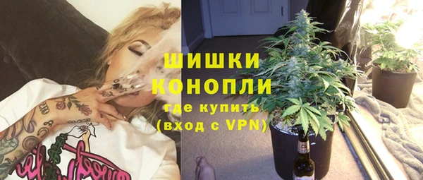 гидра Верхний Тагил