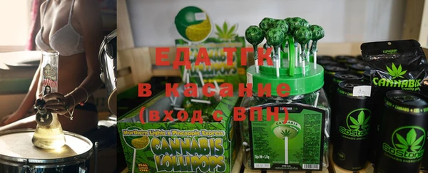 гидра Верхний Тагил
