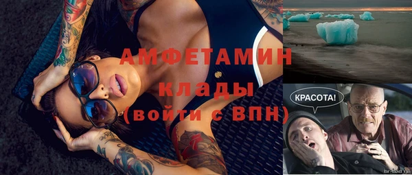 гидра Верхний Тагил
