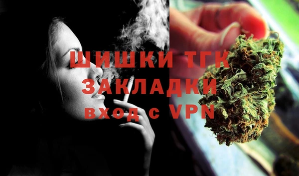 гидра Верхний Тагил