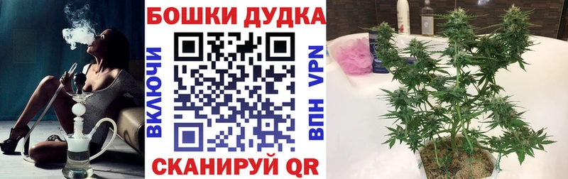 Марихуана THC 21% Пласт